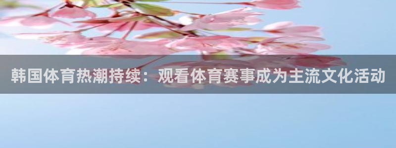雨燕乐球直播：韩国体育热潮持续：观看体育赛事成为主流文化活动