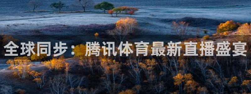 乐球直播平台：全球同步：腾讯体育最新直播盛宴