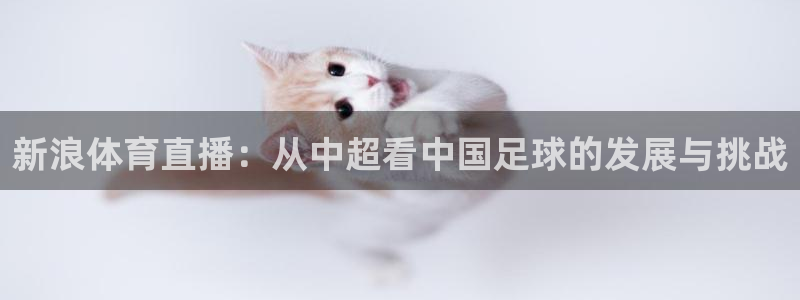 nba乐球直播吧：新浪体育直播：从中超看中国足球的发展与挑战