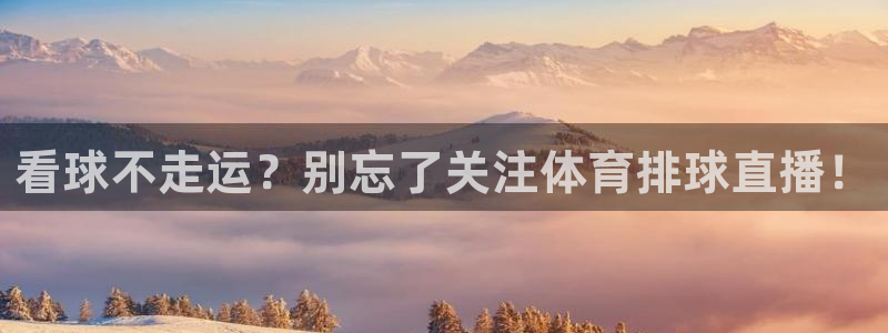 乐球直播免费直播nba：看球不走运？别忘了关注体育排球直播！