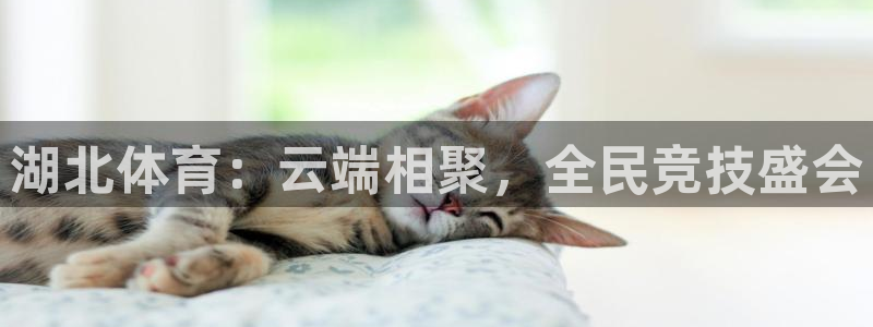 nba乐球吧直播：湖北体育：云端相聚，全民竞技盛会