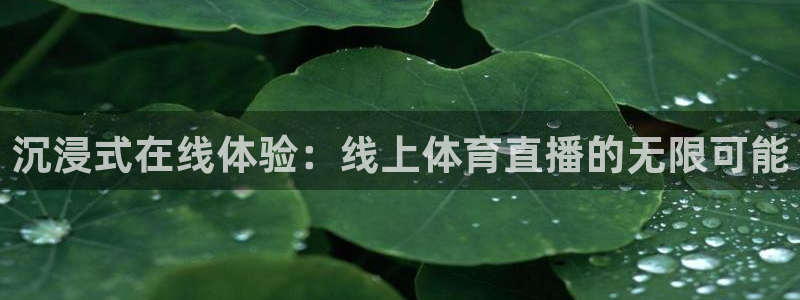 乐球吧jrs直播nba直播：沉浸式在线体验：线上体育直播的无限可能