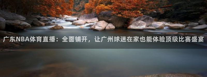 乐球直播nba免费观看：广东NBA体育直播：全面铺开，让广州球迷在家也能体验顶级比赛盛宴