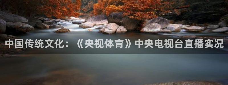 乐球直播app下载安卓：中国传统文化：《央视体育》中央电视台直播实况