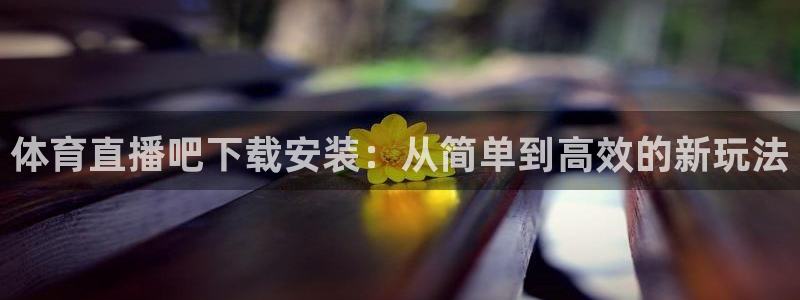 乐球免费体育直播在线看：体育直播吧下载安装：从简单到高效的新玩法