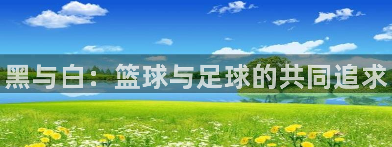 乐球直播免费下载：黑与白：篮球与足球的共同追求