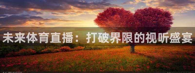 nba免费高清直播观看乐球：未来体育直播：打破界限的视听盛宴