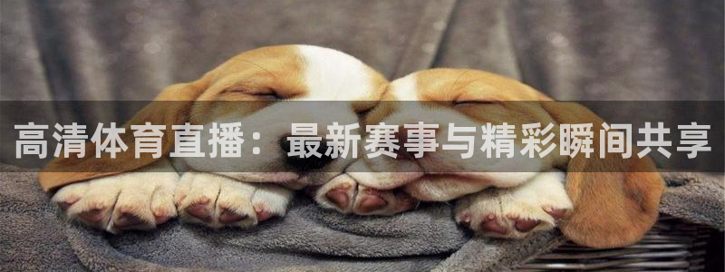 乐球比赛直播在线观看：高清体育直播：最新赛事与精彩瞬间共享